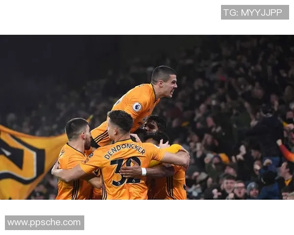 加的夫城与狼队激战正酣谁能在英超赛场上笑到最后